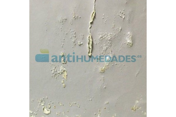 Pared afectada de humedades por capilaridad que necesita reparación
