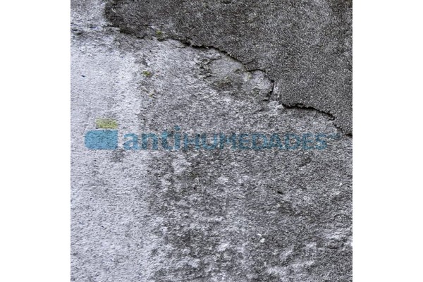Superficie afectada de manchas blancas por salinidad o eflorescencias