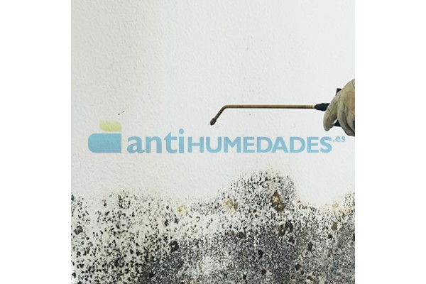 Detergente para manchas de humedad en interiores