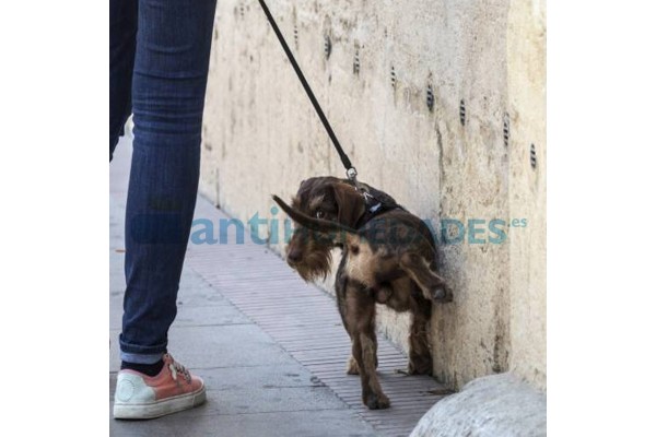 Repelente de Orines Idroless para evitar que los perros orinen en la fachada