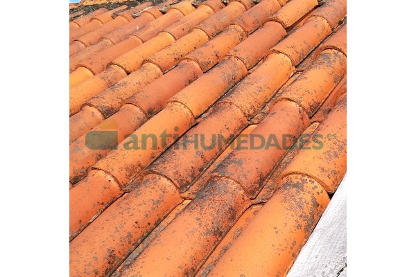Limpiador antihumedad Bio 1 de Idroless para suelos, fachadas o tejados