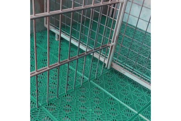 Loseta ventilada antihumedad verde para perreras, naves