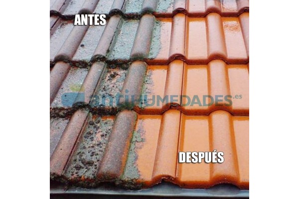 Limpiador químico para manchas de moho en tejados, fachadas y suelos