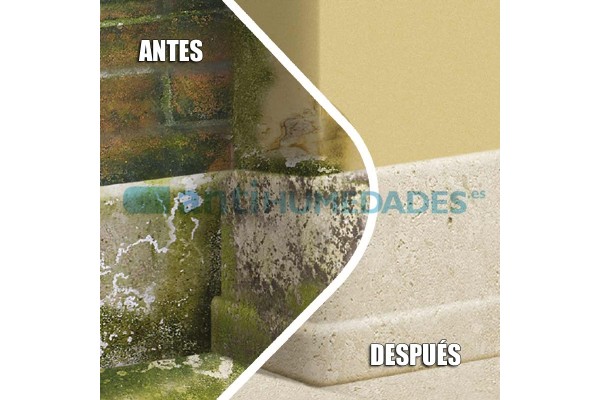 Tratamiento con limpiador antihumedades e hidófugo Nanohidrof 9 W