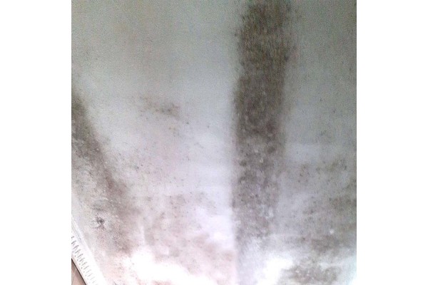 Pintura para evitar la condensación en el interior de la vivienda Termic M