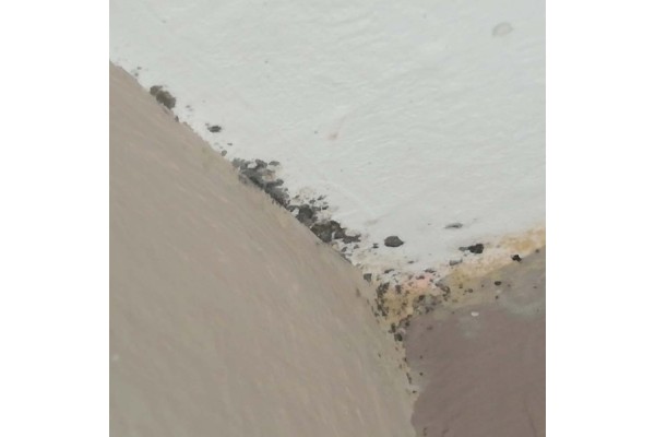 Pintura eco antimoho para techos y paredes interiores