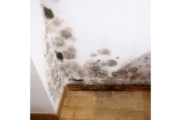 Pintura antimoho Antihumedades con microesferas cerámicas