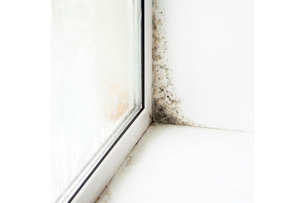 Pintura anticondensación Antihumedades para interiores