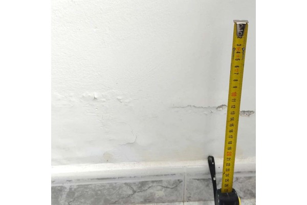 Pared con humedades por capilaridad