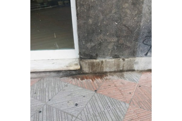 Repelente que evita manchas y olores de orina