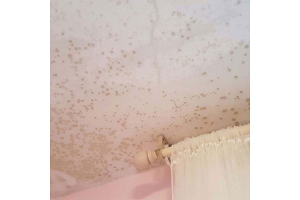 Lejía para manchas de moho por humedad