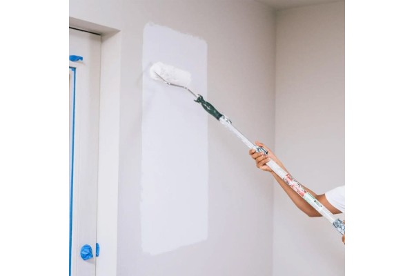 Pintura Ecológica Natur Iones Plata AG+ para paredes y techos