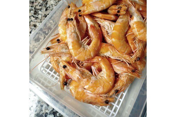Bandeja para descongelar alimentos con rejilla anti-goteo - Sin BPA's