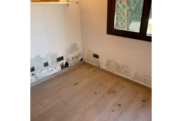 Pintura de cal antimoho para interiores