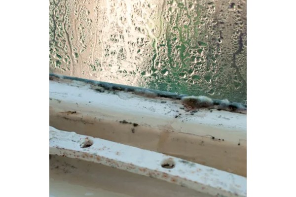 Moho y condensación en el interior del hogar
