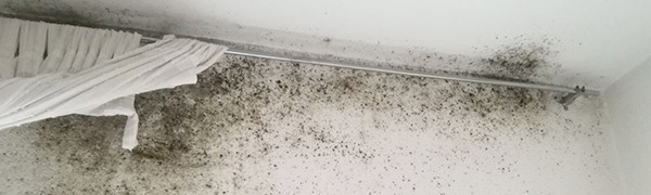 Humedades por condensación: acaba con las manchas negras en paredes y techos