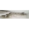 Humidité de Condensation