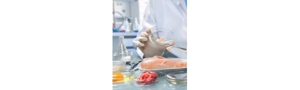 Productos para Uso Alimentario: Pinturas e Hidrófugos no Tóxicos