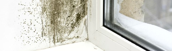 Tratamiento de condensaciones: limpiadores y pinturas anti-moho