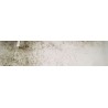Pinturas Anti-Condensación