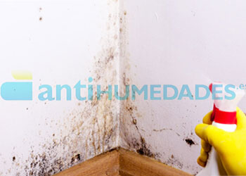preparación del soporte antes de aplicar elo detergente antimoho