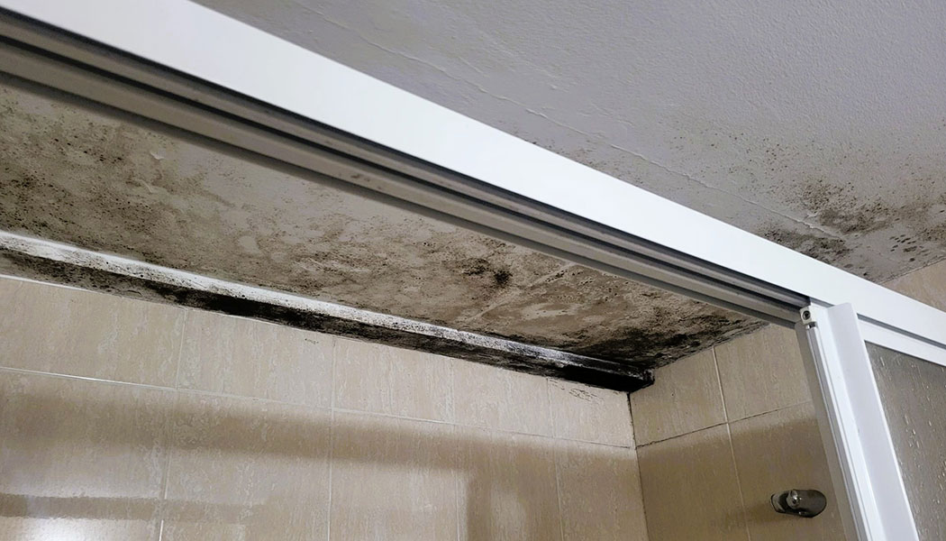 cómo eliminar el moho de techos, paredes y duchas