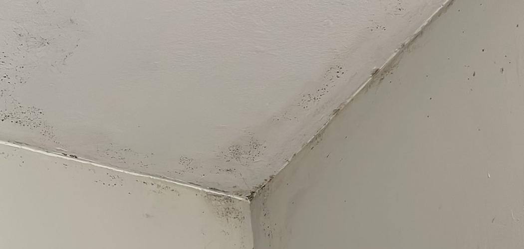 detergente para eliminar moho de techos