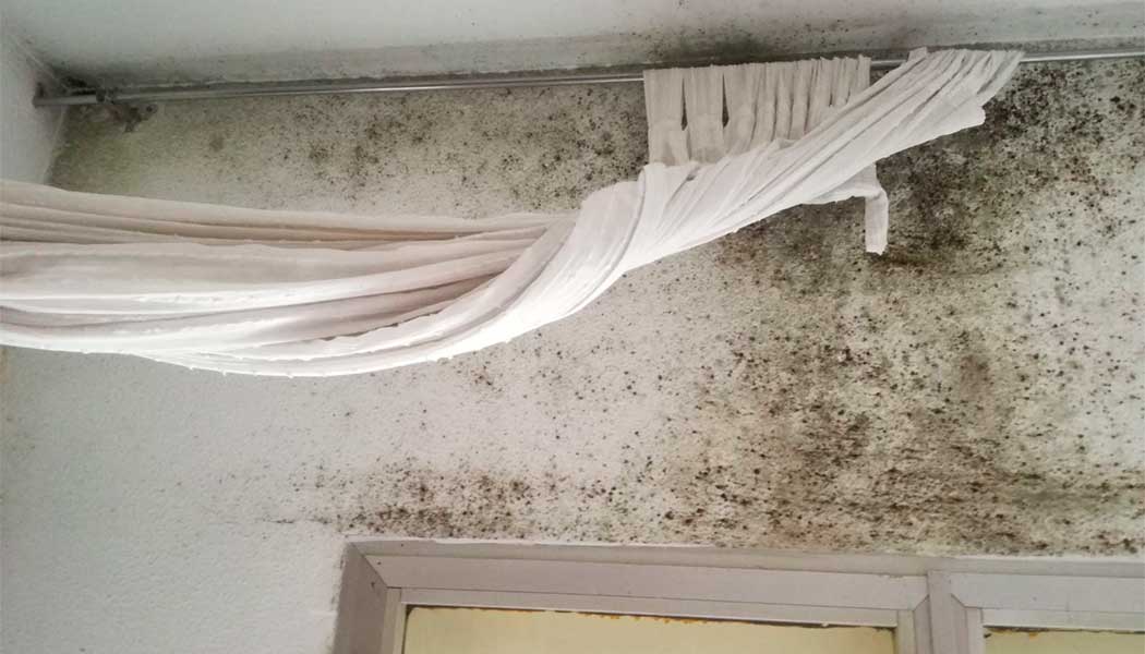 Cómo eliminar la humedad en paredes alrededor de las ventanas