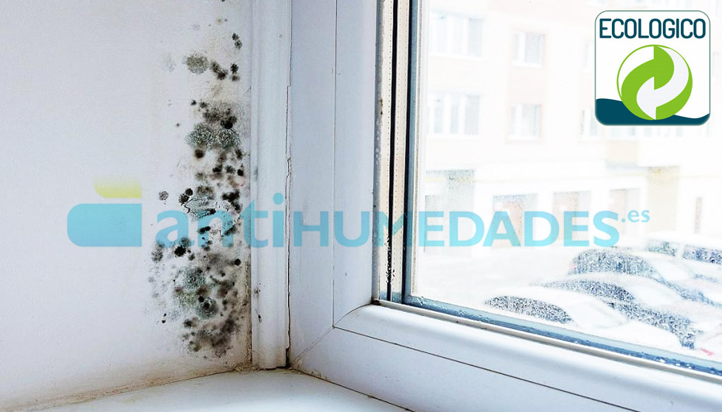 Esporas de moho y verdín en el interior de una vivienda antes de aplicar los productos del Pack Ahorro Antimoho de Idroless