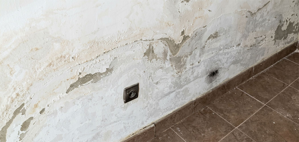 Descochones de pintura en la parte baja de las paredes por humedades por capilaridad