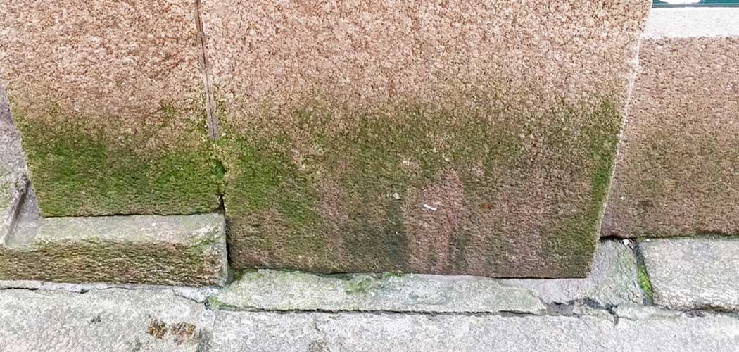 Limpieza de verdín en pared exterior de piedra natural con limpiador de Antihumedades